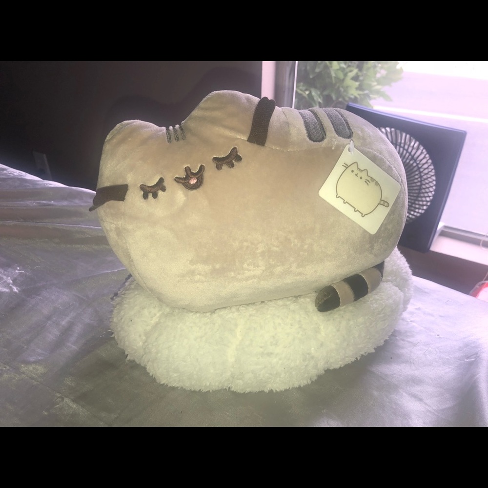 Pusheen Dreaming on a Cloud
